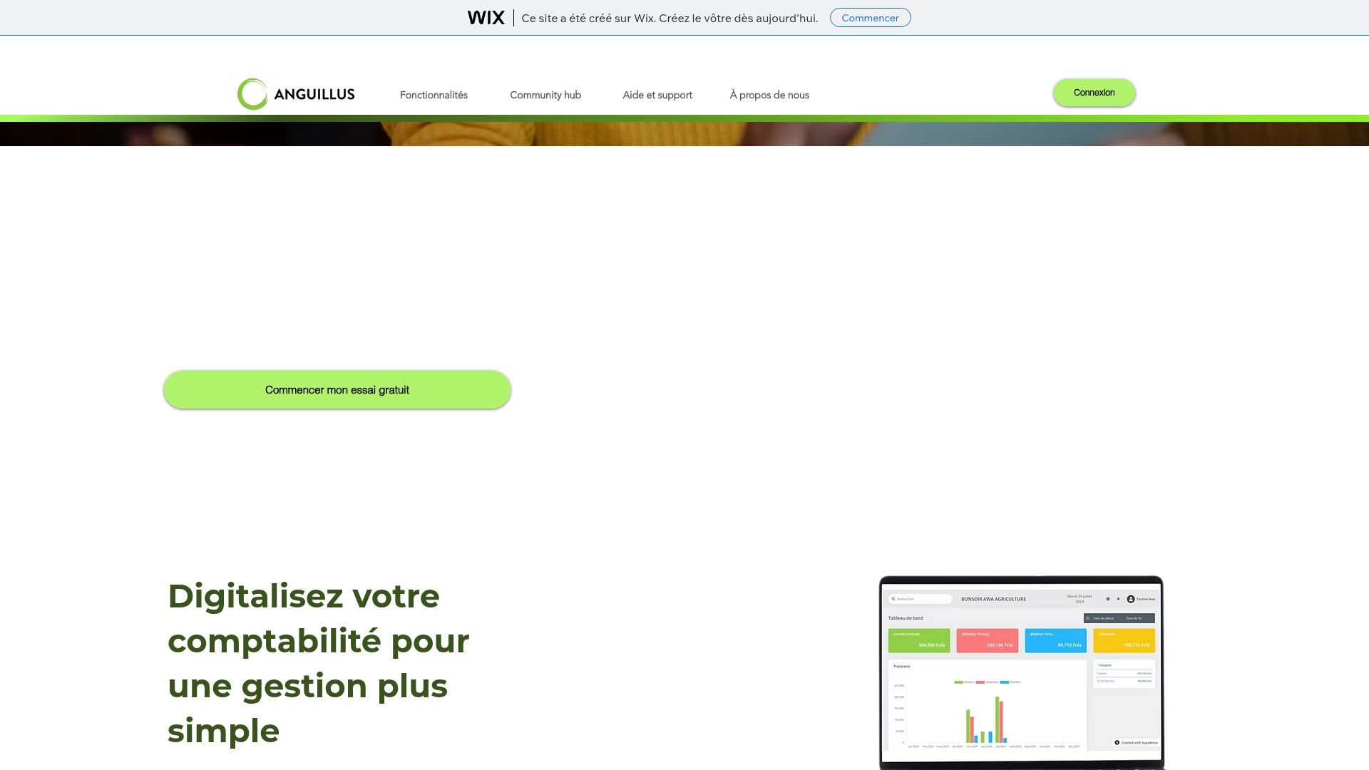 Anguillus, live site preview